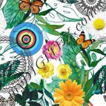 Colour:A