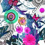 Colour:B
