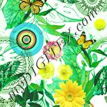 Colour:K