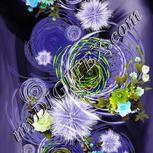 Colour:D