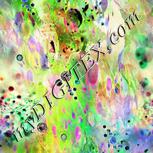 Colour:F