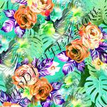 Colour:B