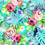 Colour:K