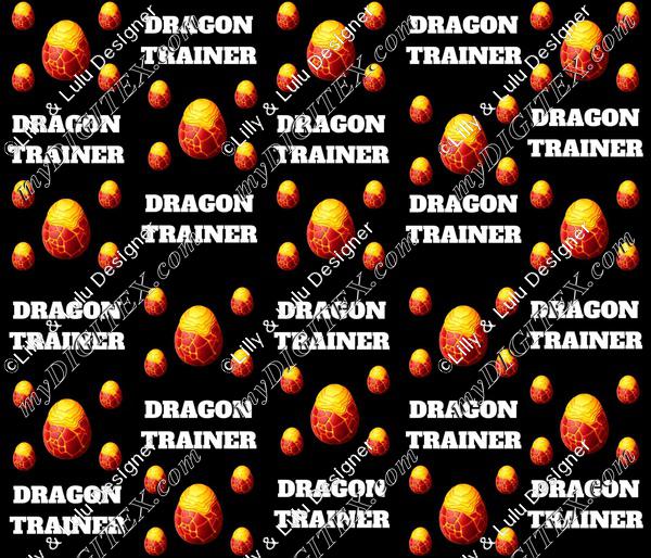 Dragon Trainer