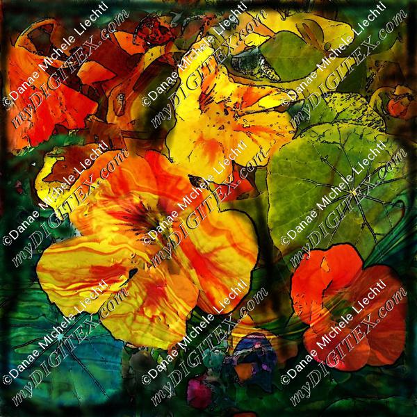 nasturtiums  marbled black  green edge300 (3)