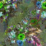 Colour:D