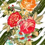 Colour:A