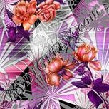 Colour:B