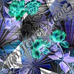 Colour:F