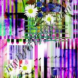 Colour:D