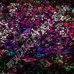 Colour:B