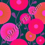 Colour:B