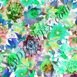 Colour:C
