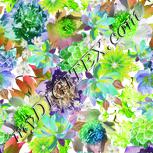 Colour:D