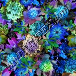Colour:F