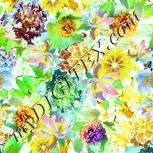 Colour:K