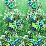 Colour:C