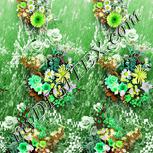Colour:D