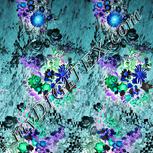 Colour:F