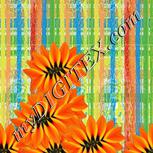 Colour:A