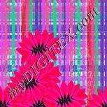 Colour:B