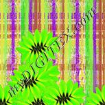 Colour:D