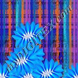 Colour:F