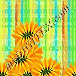 Colour:K