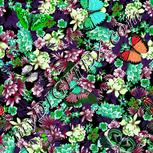Colour:C