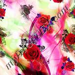 Colour:B