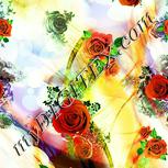 Colour:K