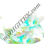 Colour:C