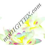 Colour:K
