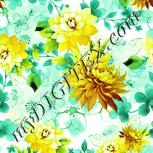 Colour:K
