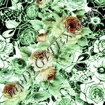Colour:K