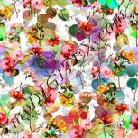 Colour:A