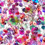 Colour:B