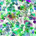 Colour:C