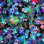 Colour:F