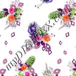 Colour:B