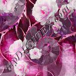 Colour:B
