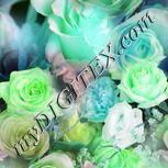 Colour:C