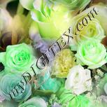 Colour:D