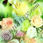 Colour:K