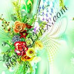 Colour:K