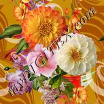 Colour:A