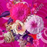 Colour:B