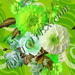 Colour:D