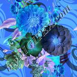 Colour:F