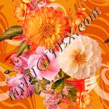 Colour:J